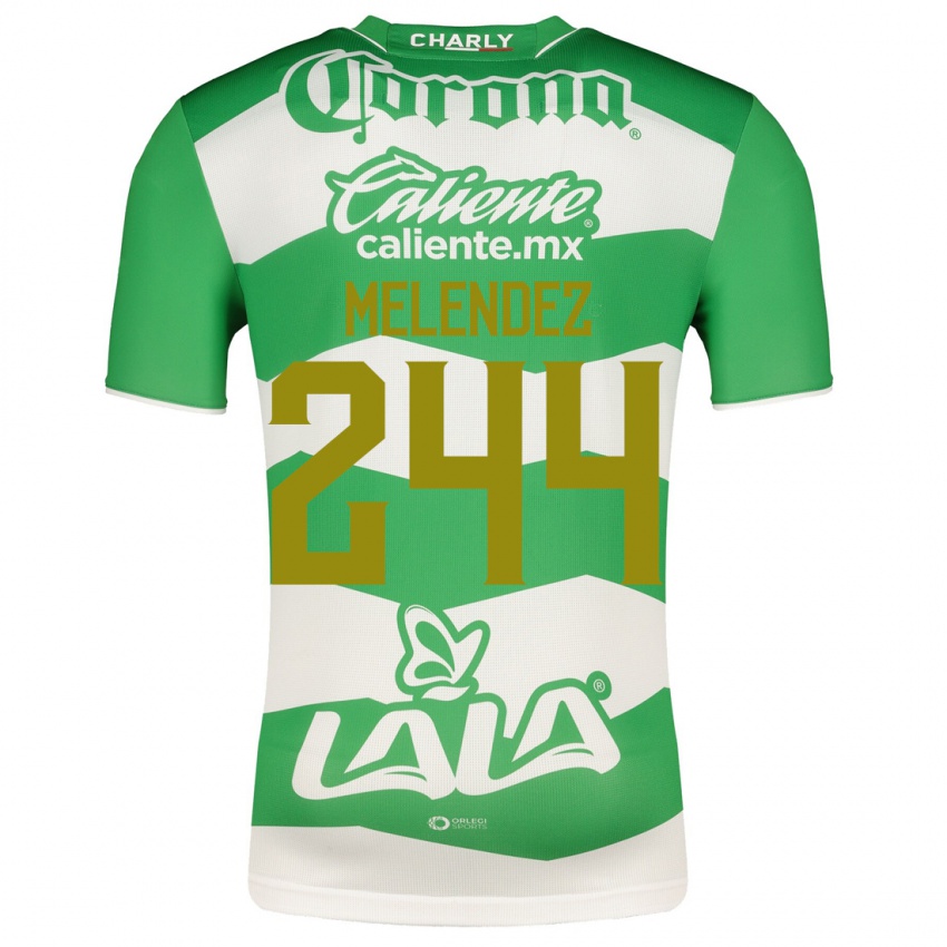 Mujer Camiseta Carlos Meléndez #244 Verde 1ª Equipación 2023/24 La Camisa Chile